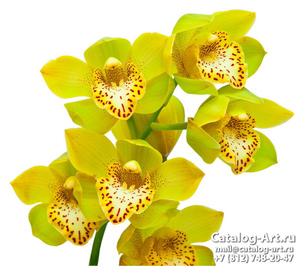 картинки для фотопечати на потолках, идеи, фото, образцы - Потолки с фотопечатью - Желтые и бежевые орхидеи 21